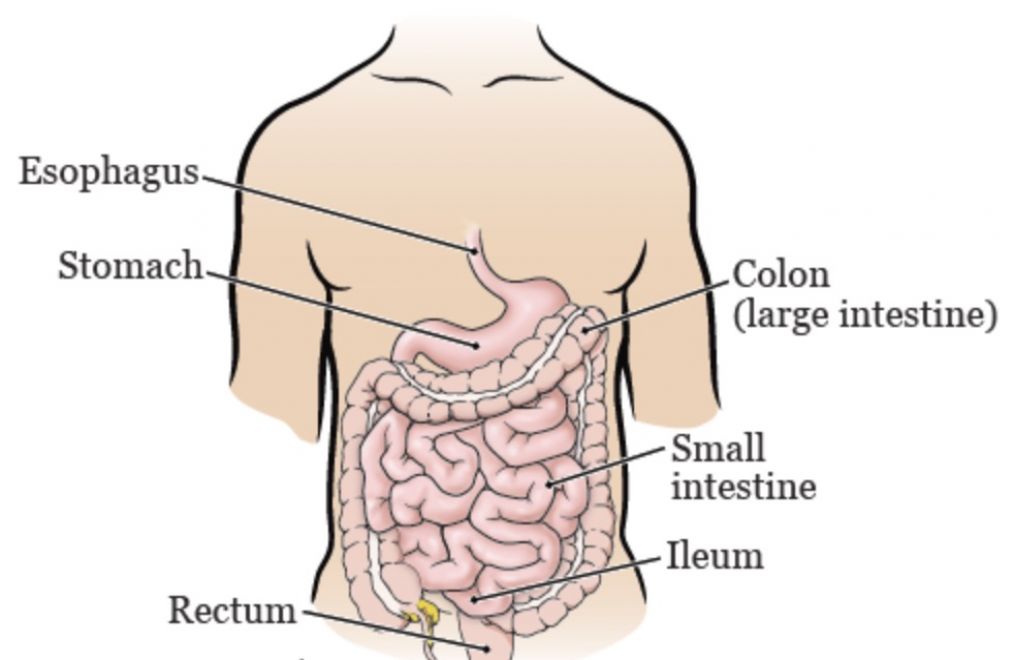 What Is The Best Place To Get Colon Broom Online